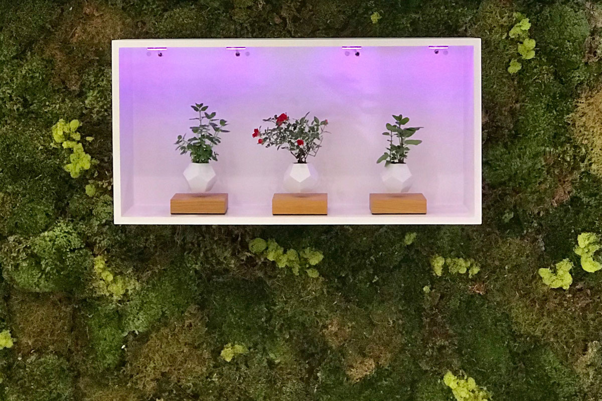 Givaudan